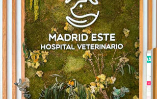 Jardines Verticales | Global Montero